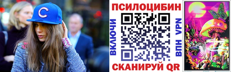 Купить  Сальск  Галлюциногенные грибы MAGIC MUSHROOMS 