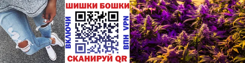 Бошки Шишки ГИДРОПОН  Купить закладки  Сальск 
